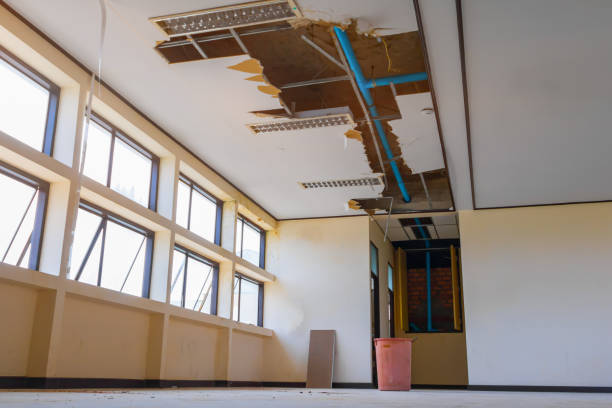 Best Professional water damage repair  in Castle Dale, UT