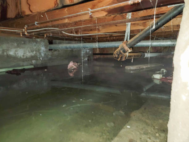 Best Emergency water extraction  in Castle Dale, UT