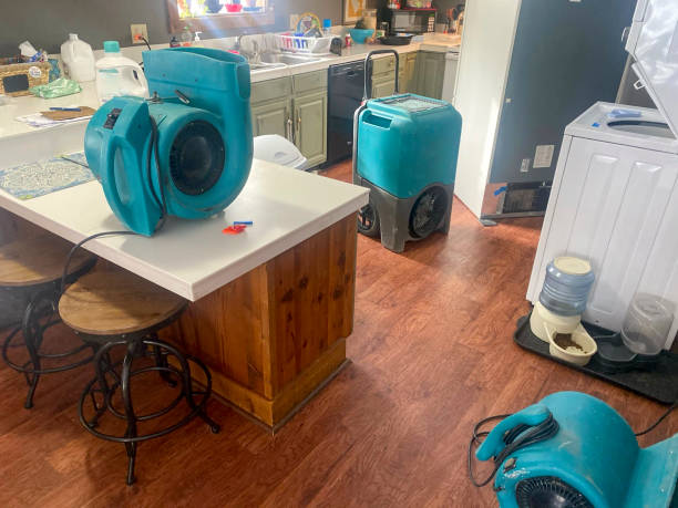 Best Water damage restoration process  in Castle Dale, UT