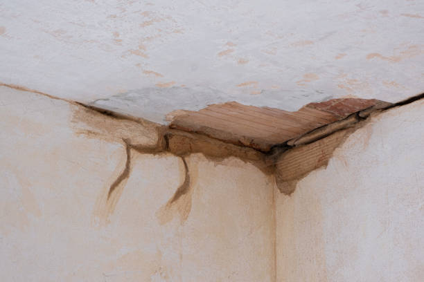 Best Basement water damage restoration  in Castle Dale, UT