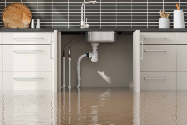 Best 24/7 water damage repair  in Castle Dale, UT